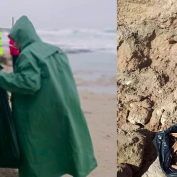 نابل: بلاغ وزاري حول محاولة الاستيلاء على بعض اللّقى الأثرية بواد القصب