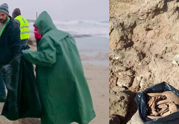 نابل: بلاغ وزاري حول محاولة الاستيلاء على بعض اللّقى الأثرية بواد القصب