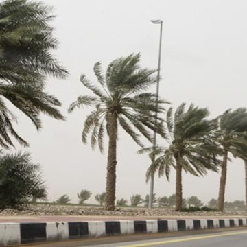 رياح حشاد: طقس الجمعة و السبت يستوجب الحذر و عدم المجازفة في الأودية و المنخفضات (فيديو)