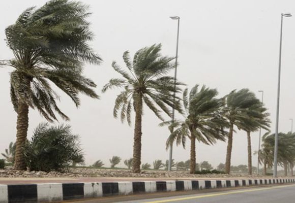 حشاد: طقس الجمعة و السبت يستوجب الحذر و عدم المجازفة في الأودية و المنخفضات (فيديو)