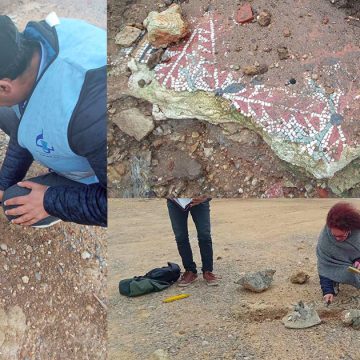 الهوارية نابل/ معهد التراث: التحول إلى موقع. Missua بالهوارية لصيانة الفسيفساء