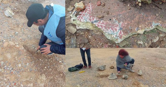 نابل/ معهد التراث: التحول إلى موقع. Missua بالهوارية لصيانة الفسيفساء