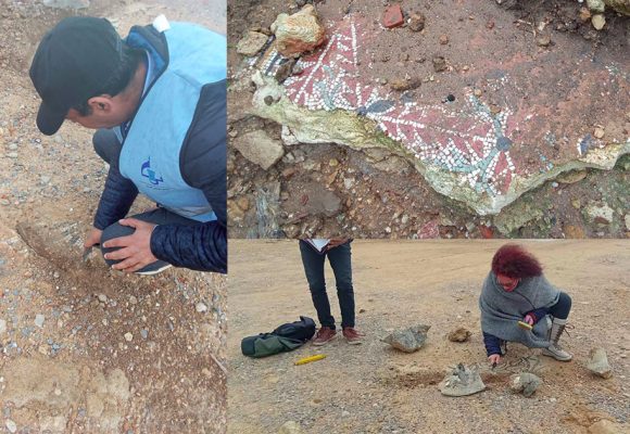 نابل/ معهد التراث: التحول إلى موقع. Missua بالهوارية لصيانة الفسيفساء