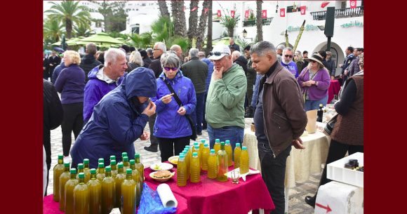 حمام-سوسة: يوم ترويجي لزيت الزيتون البيولوجي