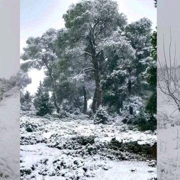 صورة اليوم: نقلا عن مرصد الطقس و المناخ من القصرين بعدسة رمزي بن رابح ونيسي