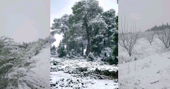 صورة اليوم: نقلا عن مرصد الطقس و المناخ من القصرين بعدسة رمزي بن رابح ونيسي