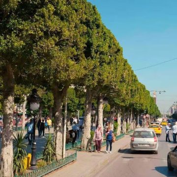 Tunis-centre-ville (3) تونس : في مواجهة منطق القوة، الحل الوحيد جبهة داخلية قوية