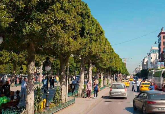 تونس : في مواجهة منطق القوة، الحل الوحيد جبهة داخلية قوية