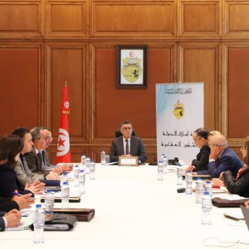 الوزير الهذيلي يركز على توظيف العقارات الدولية لفائدة مشاريع كهربائية و طاقية في الجهات