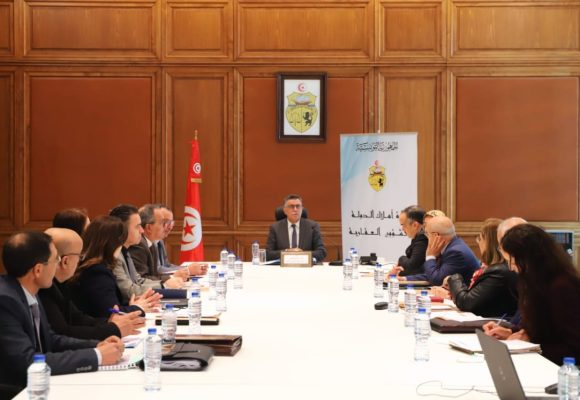 الوزير الهذيلي يركز على توظيف العقارات الدولية لفائدة مشاريع كهربائية و طاقية في الجهات