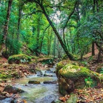 من توقعات معهد الرصد الجوي للساعات القادمة، تقلص نسبي في هبوب الرياح من توقعات معهد الرصد الجوي للساعات القادمة، تقلص نسبي في هبوب الرياح