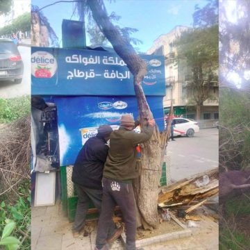 التقلبات الجوية بلدية تونس تعلن عن احداث خلية أزمة و تضع رقما موحدا على ذمة المتساكنين