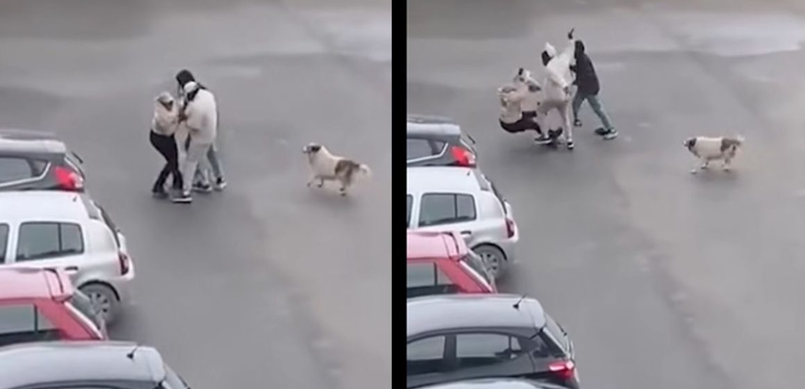 سكرة-أريانة: فيديو متداول يكشفهم و الأمن يتمكن من إيقافهم