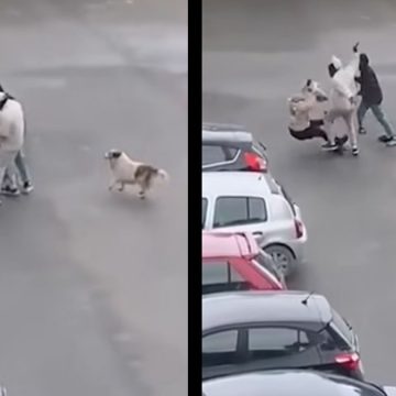 سكرة-أريانة: فيديو متداول يكشفهم و الأمن يتمكن من إيقافهم