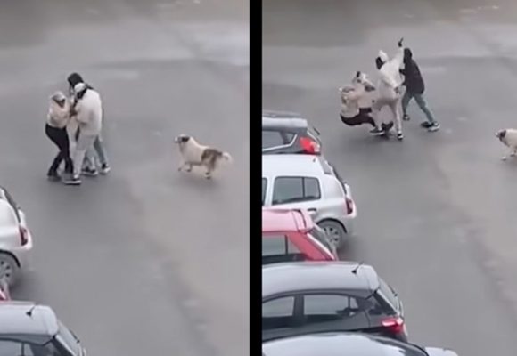 سكرة-أريانة: فيديو متداول يكشفهم و الأمن يتمكن من إيقافهم