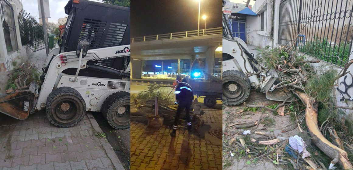 بلدية تونس: أشجار تسقط على الطريق من قوة الرياح و المصالح تتدخل…