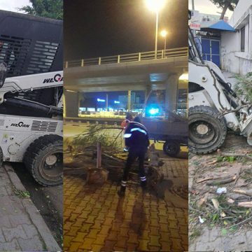 بلدية تونس: أشجار تسقط على الطريق من قوة الرياح و المصالح تتدخل…