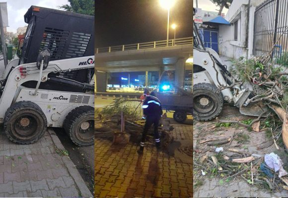 بلدية تونس: أشجار تسقط على الطريق من قوة الرياح و المصالح تتدخل…