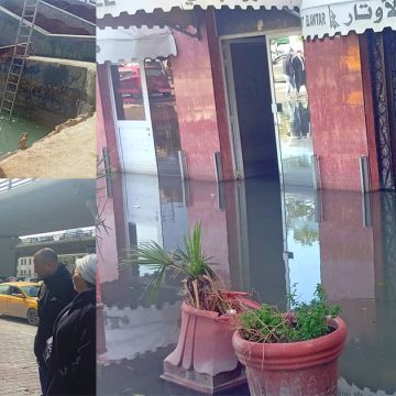 تونس البحرية: زيارة على عين المكان بحثا عن حلول عاجلة لركود المياه (صور)