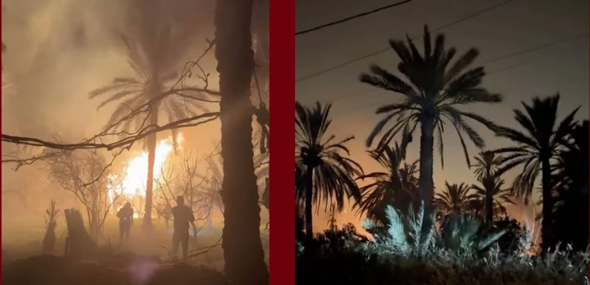 قابس: الحماية تحاول منع توسع دائرة الحريق بمنطقة النحال