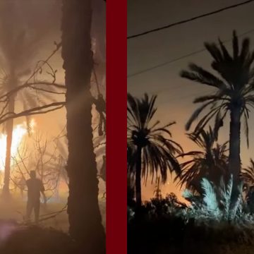 قابس: الحماية تحاول منع توسع دائرة الحريق بمنطقة النحال