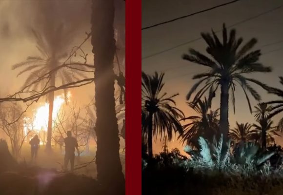 قابس: الحماية تحاول منع توسع دائرة الحريق بمنطقة النحال