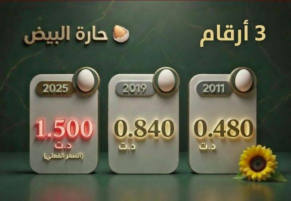 حركة حق/ تآكل القدرة الشرائية في تونس: حارة البيض، مرآة للواقع الاقتصادي