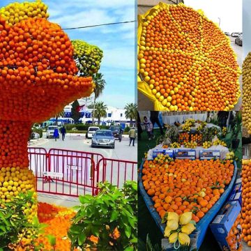 الحمامات: ريان يوسف يغني في الدورة الثانية عشر للقوارص (البرنامج)