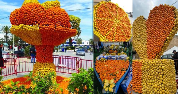 الحمامات: ريان يوسف يغني في الدورة الثانية عشر للقوارص (البرنامج)