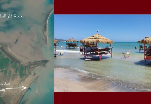 حمدي حشاد: “اختفاء جزئي لشواطئ كوكو بيتش”