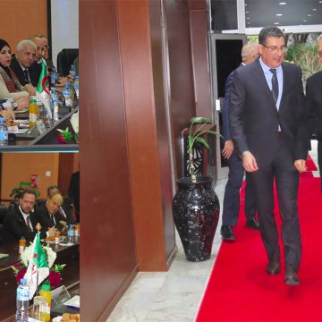 بلاغ وزارة الصحة/ بين تونس والجزائر: شراكة صحية عملية بنتائج ملموسة