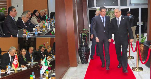 بلاغ وزارة الصحة/ بين تونس والجزائر: شراكة صحية عملية بنتائج ملموسة