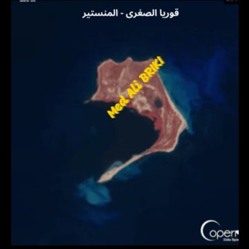 حمدي حشاد يؤكد تقلص مساحة جزيرة قوريا الصغرى بسواحل المنستير بنسق سريع