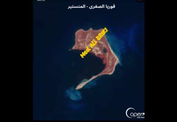 حمدي حشاد يؤكد تقلص مساحة جزيرة قوريا الصغرى بسواحل المنستير بنسق سريع