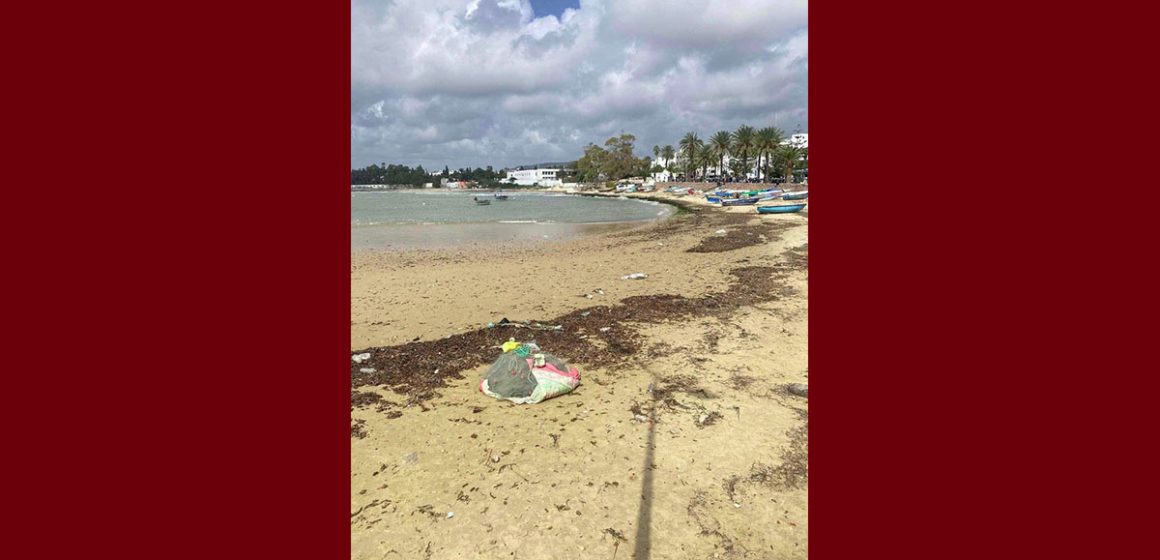 حشاد: “صورة من شاطئ الحمامات تعكس شيئاً مهماً في فهم السواحل في تونس”