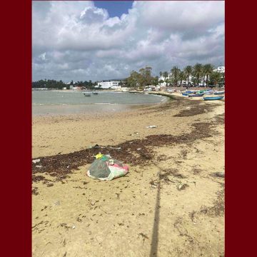 حشاد: “صورة من شاطئ الحمامات تعكس شيئاً مهماً في فهم السواحل في تونس”