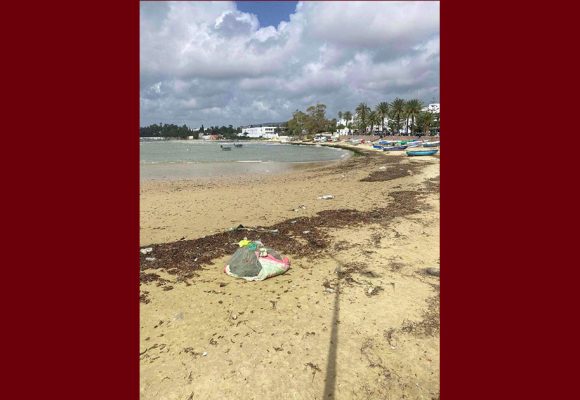 حشاد: “صورة من شاطئ الحمامات تعكس شيئاً مهماً في فهم السواحل في تونس”