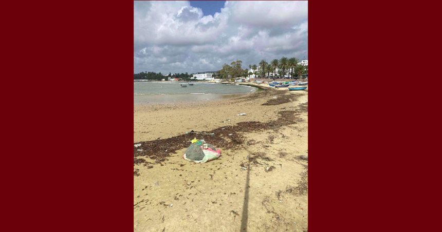 حشاد: “صورة من شاطئ الحمامات تعكس شيئاً مهماً في فهم السواحل في تونس”