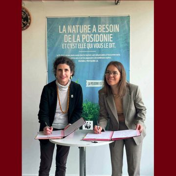 بيئة بحرية/ فرنسا: الاعلان عن إطلاق مشروع “بينيلوب” في تونس