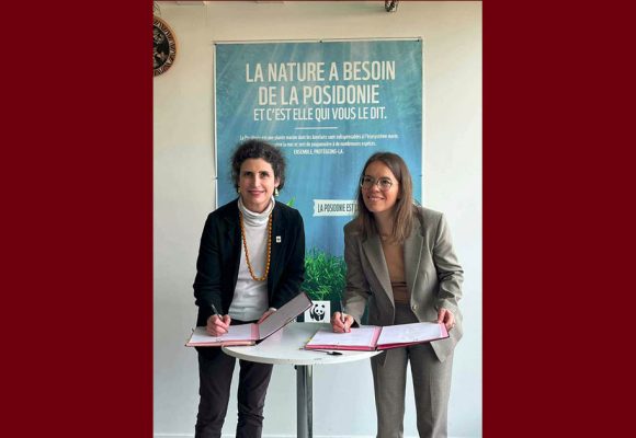 بيئة بحرية/ فرنسا: الاعلان عن إطلاق مشروع “بينيلوب” في تونس