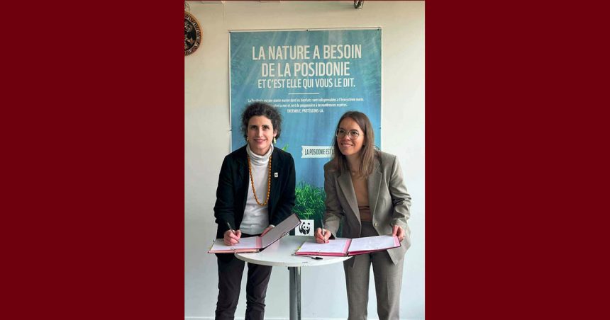 بيئة بحرية/ فرنسا: الاعلان عن إطلاق مشروع “بينيلوب” في تونس