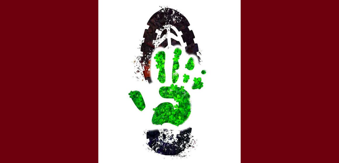 00 بيئة: حمدي حشاد يضع “البصمة الكربونية الايجابية” تحت المجهر