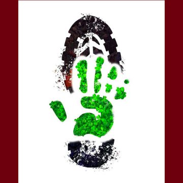 بيئة: حمدي حشاد يضع “البصمة الكربونية الايجابية” تحت المجهر