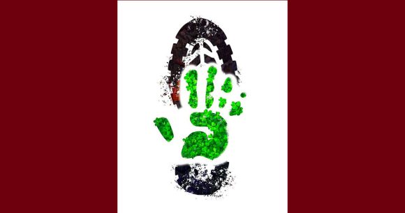 بيئة: حمدي حشاد يضع “البصمة الكربونية الايجابية” تحت المجهر