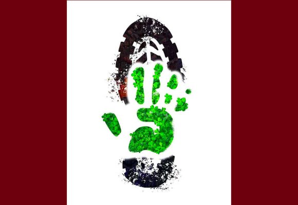 بيئة: حمدي حشاد يضع “البصمة الكربونية الايجابية” تحت المجهر