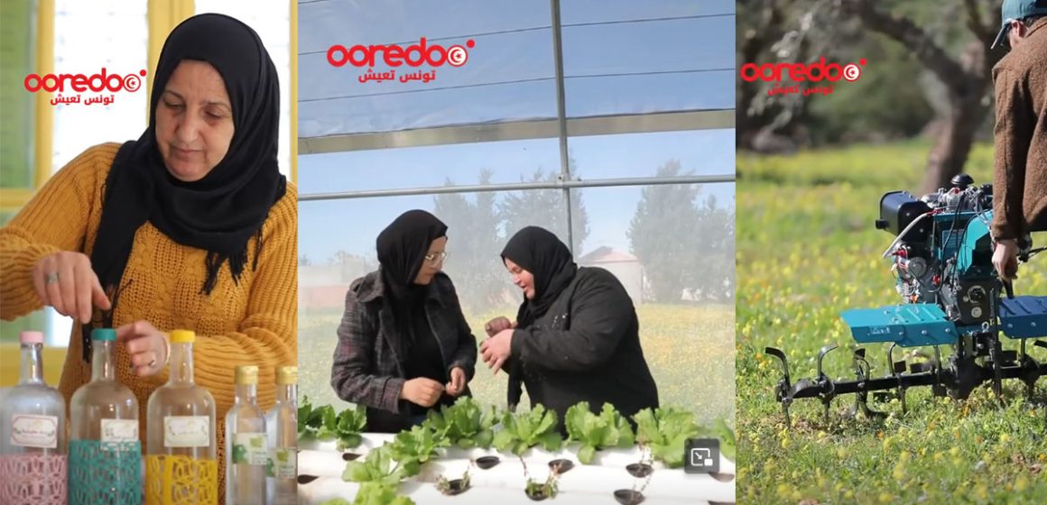 تونس: Ooredoo تدعم 400 عائلة ريفية ضمن برنامج “تونس تعيش” عبر مشروع تنموي مستدام بالشراكة مع جمعية Soli & Green (فيديو)
