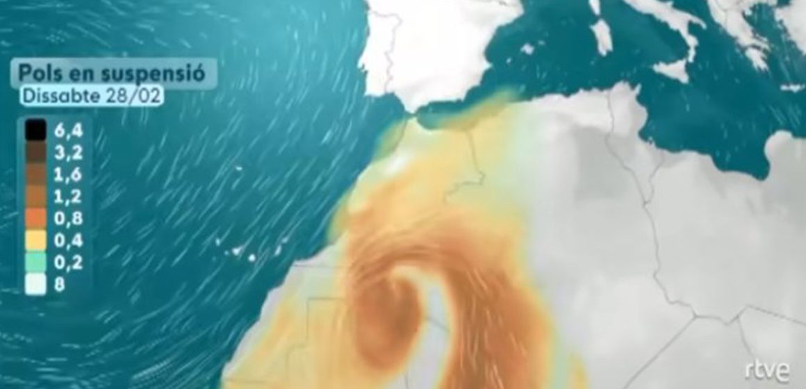 météo أمور بيئية : تغيير لون السماء الى الأصفر أو البرتقالي، حمدي حشاد على الخط… (فيديو)