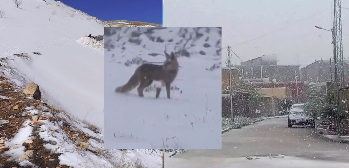 مرصد الطقس و المناخ/ الساعات القادمة: أمطار وبرد و ثلوج على المرتفعات