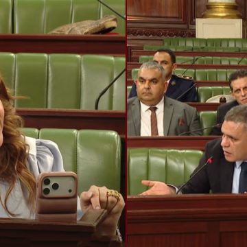 سيرين المرابط النائب سيرين المرابط توجه أسئلة لوزير الداخلية حول الانتصاب الفوضوي في الأسواق (فيديو)