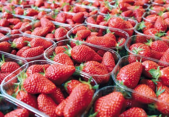 لاخوف من مادة الفراولة فهي سليمة و كل ما راج حول عدم صلوحيته باطل